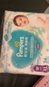 帮宝适（Pampers）清新帮拉拉裤加大码XL34片超薄干爽透气男女宝宝通用 实拍图