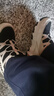 Skechers斯凯奇儿童绒绒靴儿童搭扣加绒靴子女童雪地靴保暖棉鞋664200L 实拍图