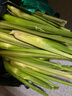 【现采现发】新鲜茭白时令蔬菜带壳茭白高笋应季美食农家自种包邮 现采带壳茭白4.6-5斤 净重 实拍图