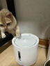 小佩宠物智能饮水机SOLO 2象牙白 猫咪饮水机狗狗喝水猫狗碗 无线水泵 实拍图