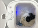 扬子迷你洗衣机小型半全自动内衣内裤洗衣机洗脱一体家用母婴洗袜子神器儿童单身学生宿舍出租房 【6.5KG白色顶配】铜线电机+蓝光抑菌+仿生手洗 实拍图