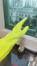 克林莱天然橡胶手套S小号长款越南进口防滑专利清洁家务洗碗厨房食品用 实拍图