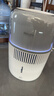 飞利浦（PHILIPS）加湿器家用卧室母婴专用静音除菌无雾空调加湿机鼻炎孕妇婴幼儿小型桌面大容量国家补贴HU5710/10 实拍图
