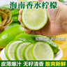 村下佬海南无籽香水柠檬新鲜现摘现发青柠檬暴打柠檬茶奶茶店推荐 海南无籽香水柠檬-单果80g 中果：9斤 实拍图