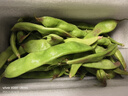 京鲜生山东新鲜油豆角1.8斤装新鲜蔬菜源头直发包邮 实拍图