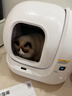 小佩智能自动猫砂盆全自动猫厕所MAX2 开放式一键换砂(支持鸿蒙智联)  实拍图