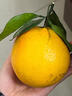 南步湖南道州脐橙 永州特产道县纽荷尔脐橙橙子果冻橙手剥橙新鲜水果 9斤 精选大果【单果75-90mm】 实拍图