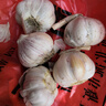 京喜自营精选大蒜水果蒜调料蔬菜火锅烧烤牛肉小龙虾食材 推荐 5-6头 100g 单果3.5-5cm 实拍图