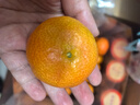 京鲜生 广西砂糖橘 净重8斤 单果45mm+ 生鲜水果 源头直发包邮 实拍图