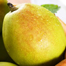 京鲜生 新疆特级库尔勒香梨 净重5斤单果120g以上 生鲜水果 实拍图
