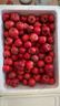 甜红子山楂樱桃小山楂鲜果山里红糖葫芦糖雪球新鲜孕妇水果现摘 【净重2斤】中大果 单果6g+ 实拍图
