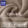 罗蒙（ROMON）2026新款冬季双股加厚100%羊毛衫男士半高领毛衣宽松针织打底衫 驼色 XL (175) 建议130-145斤 实拍图