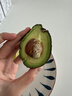 京鲜生 智利即食牛油果大果4粒装 单果130g起 源头直发 包邮 生鲜水果 实拍图