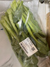 【高山鲜】宁夏菜心300g 实拍图