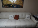 冬熊棉花糖真皮沙发法式奶油风客厅小户型轻奢白色钢琴键云朵沙发 【慵懒加宽版1.15m宽】3.1米 头层真皮【旗舰版】凝胶记忆棉+6CM紫罗兰 实拍图