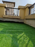 假草坪仿真人造草坪塑料绿色地毯天台阳台屋顶阳光房别墅庭院户外 2.5厘米加厚特密春草【1米宽】 1米长【人工裁剪】 实拍图