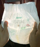 好奇（Huggies）小森林拉拉裤XXL30片(15kg以上)尿不湿心钻【透氧顶配更低敏】 实拍图