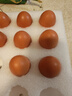 德青源A+级鲜鸡蛋64枚6.4斤起 无抗生素 健身食材 营养早餐礼盒装 实拍图