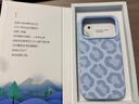 形物适用苹果17Pro手机壳 iPhone17Pro手机壳 全包豹纹磁吸液态硅胶防摔高级感情侣男女保护套-云青色 实拍图