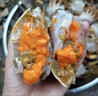 【活蟹】掌昕鲜三门青蟹 公母对蟹（8-9两/只）4只 生鲜活螃蟹海鲜水产送礼盒源头直发 实拍图