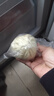 西贝莜面村牛肉粉条包子640g 2袋装共8个装  儿童早餐速食包子  生鲜面点 实拍图