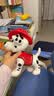 汪汪队立大功（PAW PATROL）汪汪队玩具毛绒全套狗狗玩偶公仔男女孩玩具旺旺队儿童生日礼物 站姿款-毛毛公仔 中号-坐或站高约17~22.9CM 实拍图