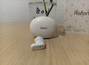罗凡尼（Rofani） HIFI级全景音效电竞游戏低延迟高颜值长续航学生党性价比运动男女生安卓苹果通用入耳式蓝牙耳机 白色顶配智能降噪超长待机续航智能触控低延迟云感佩戴 实拍图