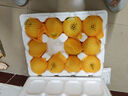 甜醉了 烟台苹果黄元帅粉面苹果黄金帅黄香蕉山东新鲜水果当季整箱鲜果 5斤75-80mm 实拍图