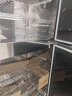 康宝（Canbo）消毒柜 家用 立式 大容量 双层消毒碗柜 厨房碗筷柜 紫外线杀菌 二星级高温消毒 智能无菌储存 XDZ250-K2U【250升】 智能无菌储存 实拍图