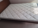 喜临门城市爱情 珍珠白P2S 青少年/老人棕垫 椰棕薄垫 1.5x2米 偏硬 实拍图
