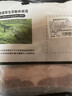 京东跑山猪 国产黑猪五花肉800g冷冻去皮五花肉猪五花烧烤食材 生鲜黑猪肉 实拍图