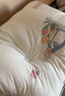 艾薇 A类豆豆绒大豆纤维被子儿童春秋被冬被被芯110*150cm3斤花园小兔 实拍图