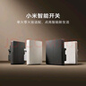 小米智能开关（双开）接入米家 单火零火兼容 超长寿命 开关面板 实拍图