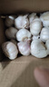 【百万单爆品】紫白皮蒜水果大蒜超市生鲜蔬菜调料即食蒜 【精选】 3斤 单果3.5-5cm 实拍图