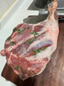 果勋羊后腿肉 净重2.5斤 羊肉整根原切带骨羔羊腿肉进口生鲜烧烤炖煮 实拍图