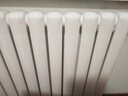 金旗舰暖气片家用钢制水暖壁挂式全屋暖气定制集中供暖自采暖立式散热器 防腐金刚60F-高600mm 6分口 实拍图