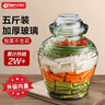 天喜（TIANXI）泡菜坛子家用加厚密封罐透明大容量腊八蒜罐泡酒罐腌菜坛子 5斤装 实拍图