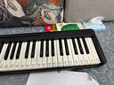 特伦斯电子琴88键成人儿童智能折叠钢琴X61A/V20手卷钢琴键盘乐器 61键折叠琴+琴包 实拍图