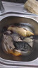 久岩 绑好子线双钩成品翘嘴套装20付金海夕有无刺手工精绑鲫鲤鱼袖钩 45cm金海夕有刺【钩4+1.2钩5+1.5】 实拍图