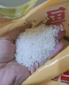 金龙鱼东北大米 盘锦大米10斤 蟹稻共生蟹田大米 实拍图
