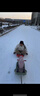 博沃尼克滑雪车亲子款加厚成人儿童滑草板雪橇车滑沙板刹车小号 红色熊猫 实拍图