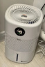 亚都（YADU）无雾加湿器卧室/婴儿纯净型家用办公室桌面冷蒸发恒湿数显/净化空气上加水SZ300-TJK302 实拍图