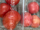 番茄约500g 实拍图