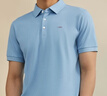 雅戈尔（YOUNGOR）短袖POLO衫男翻领舒爽透气棉手感舒适POLO衫 VSPC533066ICA浅蓝色 2XL 实拍图