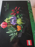 乐高（LEGO）积木玩具 花植系列10309多肉植物18岁+生日礼物圣诞礼物 实拍图