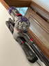 戴森（DYSON）V8无绳吸尘器【升级款】手持无线吸尘器 除螨 宠物 家庭适用 实拍图