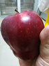 京鲜生 天水花牛苹果 净重4.5斤 单果170g+ 生鲜水果源头直发 实拍图