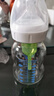 布朗博士玻璃奶瓶 0-3月新生婴儿防胀气防呛 宽口径奶瓶150ml 萌兔 实拍图