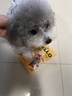 HELLOJOY狗狗零食磨牙棒比熊泰迪中小型犬磨牙洁齿 鸡肉绕奶酪100g 实拍图