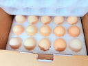 1号会员店可生食鸡蛋30枚净重3.6斤精选大码蛋礼盒装 源头直发 实拍图